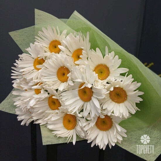 Букет из 15 Ромашек