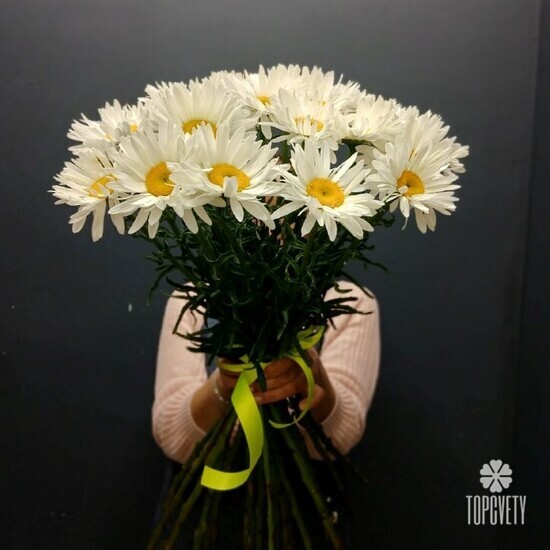 Букет из 25 Ромашек
