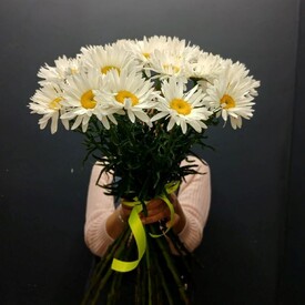 Букет из 25 Ромашек