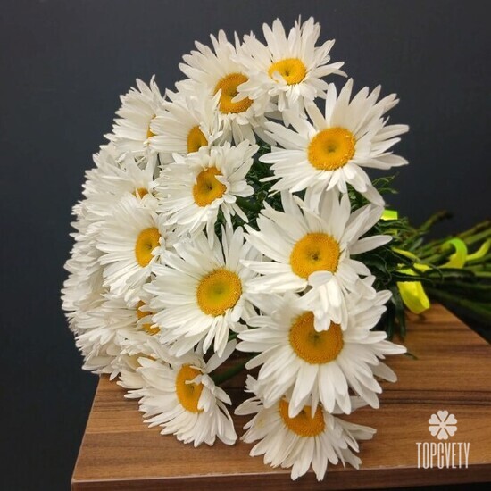 Букет из 25 Ромашек