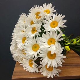 Букет из 25 Ромашек