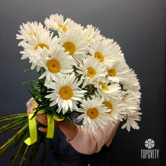 Букет из 25 Ромашек
