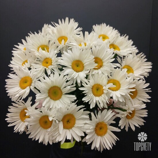 Букет из 25 Ромашек