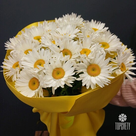 Букет из 25 Ромашек 