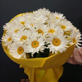 Букет из 25 Ромашек 