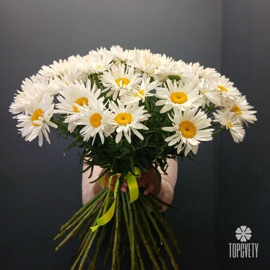 Букет из 51 Ромашки