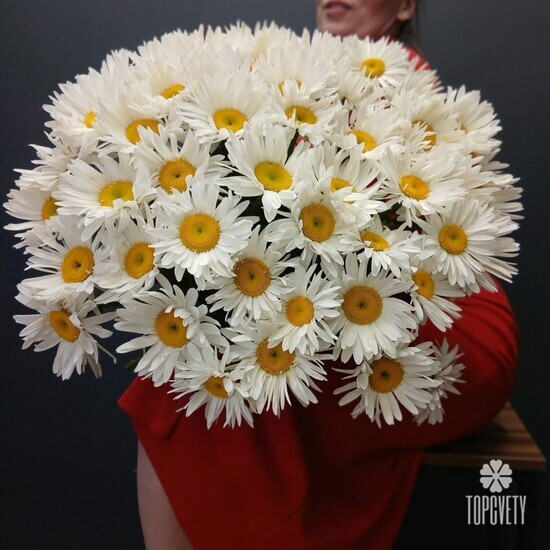 Букет из 51 Ромашки