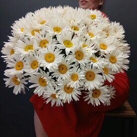 Букет из 51 Ромашки