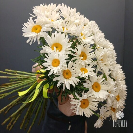 Букет из 51 Ромашки