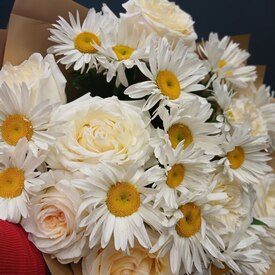 Букет из Ромашек и ароматной розы