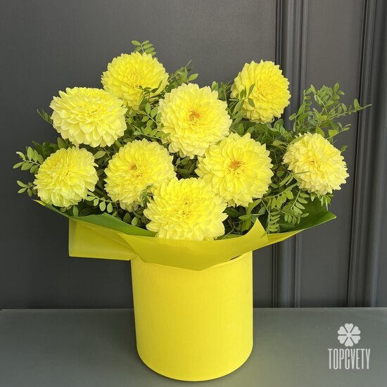 Композиция из 9 георгин в шляпной коробке