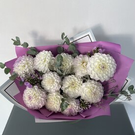 Букет из 11 георгин с флоксами