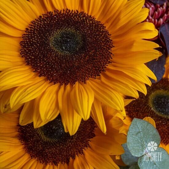 Букет из хризантем и подсолнухов