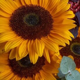 Букет из хризантем и подсолнухов