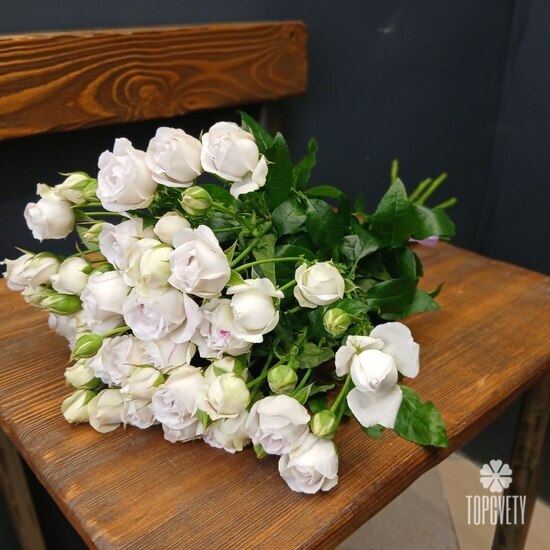 Букет из 9 кустовых пионовидных роз 50см