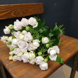 Букет из 9 кустовых пионовидных роз 50см