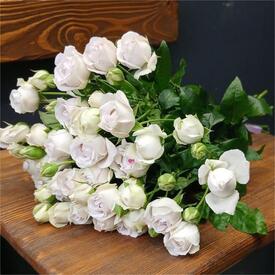 Букет из 9 кустовых пионовидных роз 50см