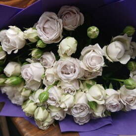 Букет из 9 кустовых пионовидных роз 50см