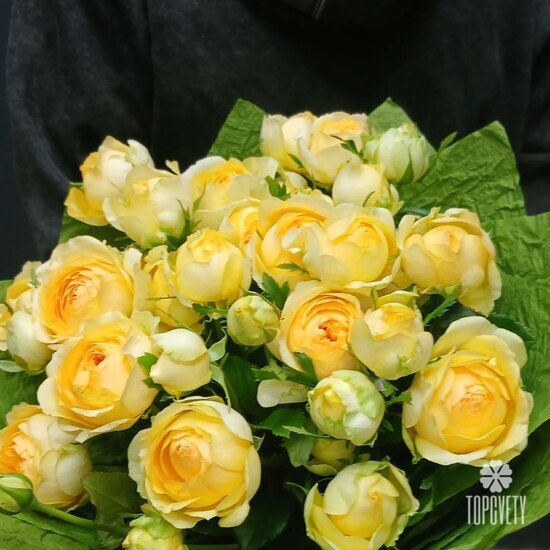 Букет из 9 кустовых пионовидных роз 50см