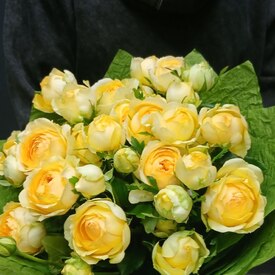 Букет из 9 кустовых пионовидных роз 50см