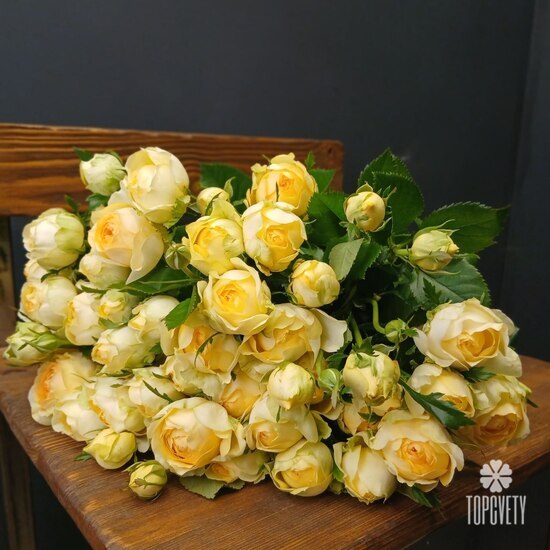 Букет из 15 кустовых пионовидных роз 50см