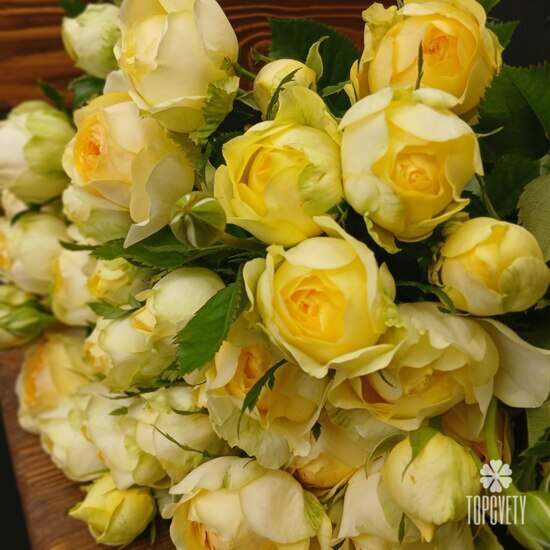 Букет из 15 кустовых пионовидных роз 50см