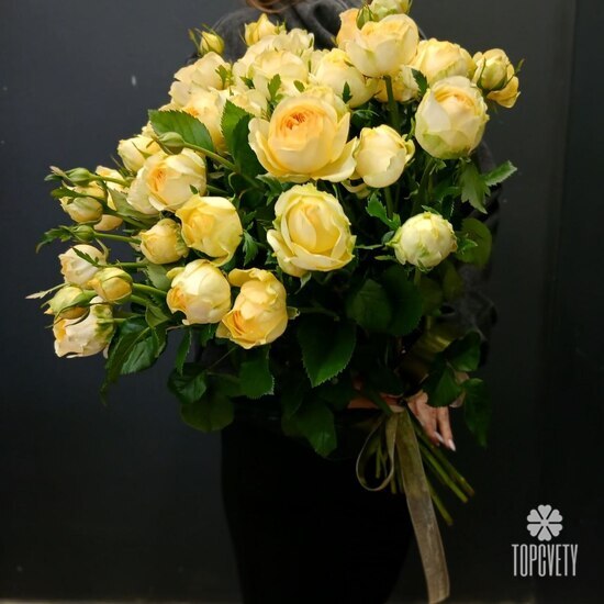 Букет из 15 кустовых пионовидных роз 50см