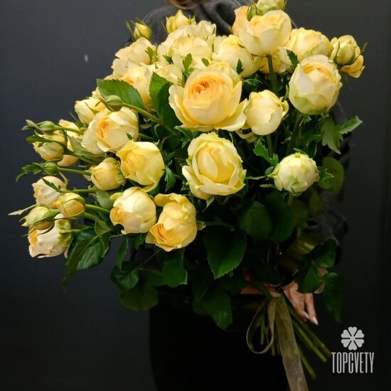 Букет из 15 кустовых пионовидных роз 50см