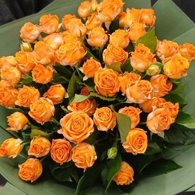 букет из 15 кустовых пионовидных роз 50см