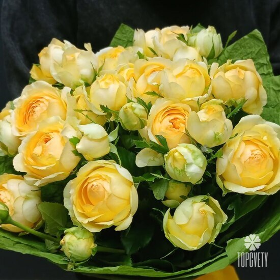 Букет из 15 кустовых пионовидных роз 50см