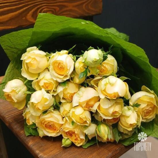 Букет из 15 кустовых пионовидных роз 50см