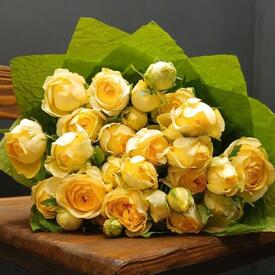 Букет из 15 кустовых пионовидных роз 50см