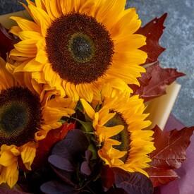 Букет из 3 подсолнухов 