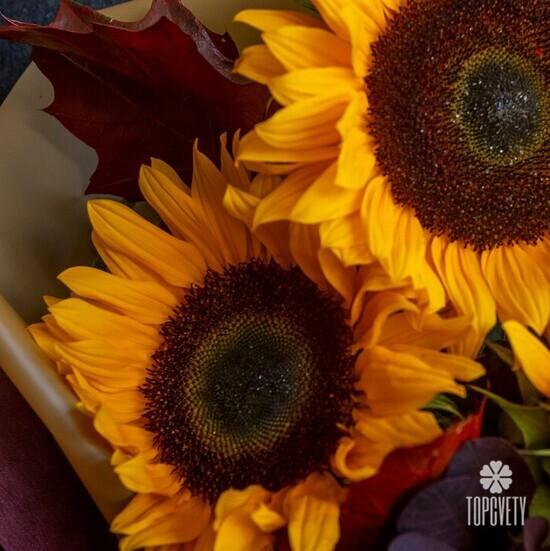 Букет из 3 подсолнухов 
