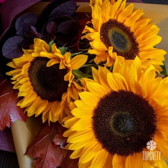 Букет из 3 подсолнухов 