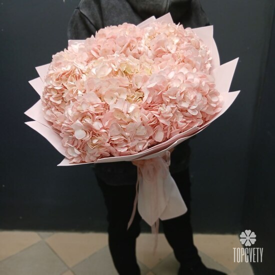 букет из 9 розовых гортензий 
