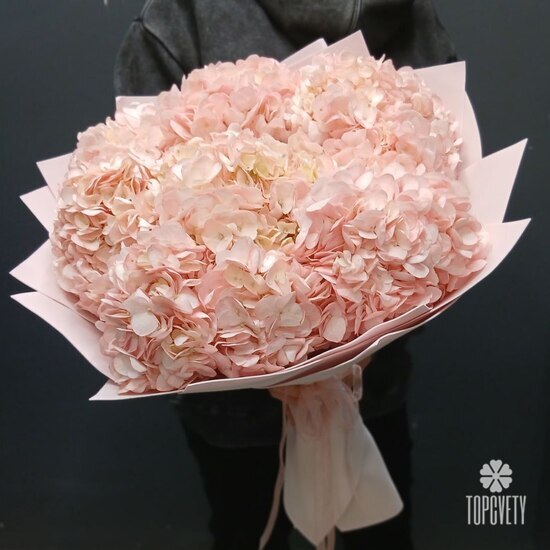 Букет из 9 розовых гортензий 