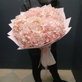 Букет из 9 розовых гортензий 