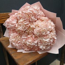 букет из 9 розовых гортензий 