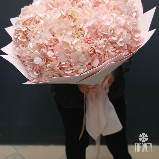 букет из 9 розовых гортензий 