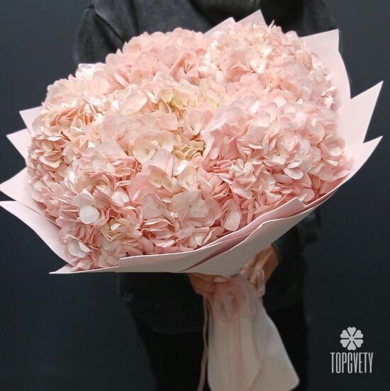 Букет из 9 розовых гортензий 