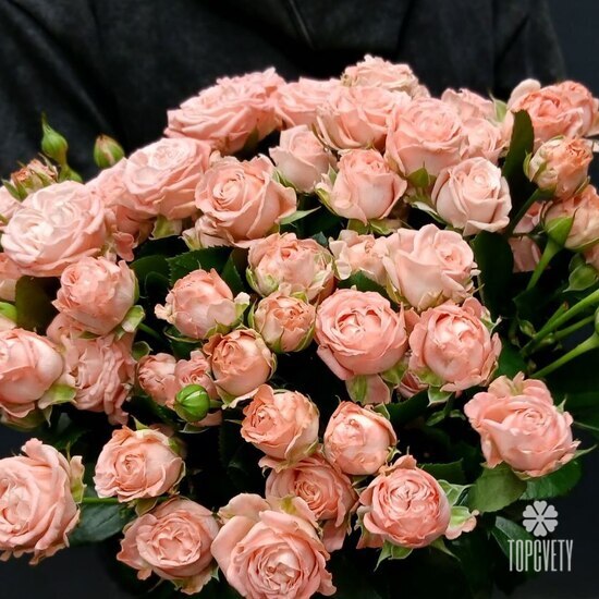 Букет из 15 кустовых пионовидных роз 50см