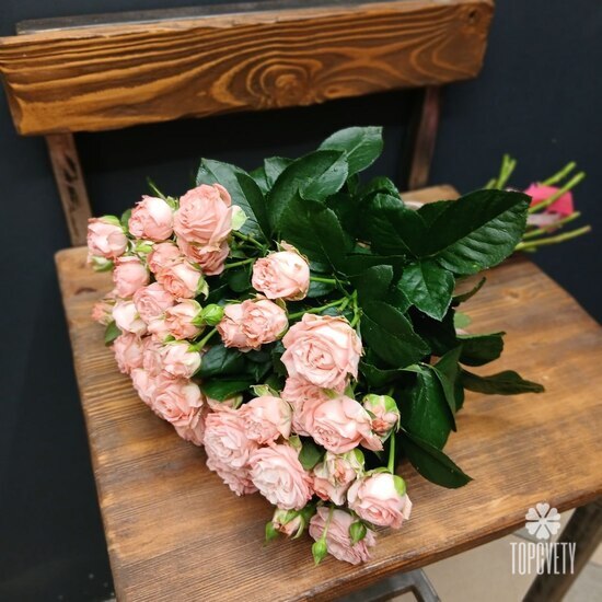 Букет из 15 кустовых пионовидных роз 50см