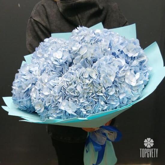 Букет из 9 голубых гортензий 