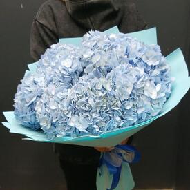 Букет из 9 голубых гортензий 