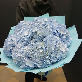 Букет из 9 голубых гортензий 