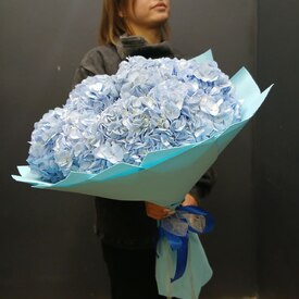 Букет из 9 голубых гортензий 