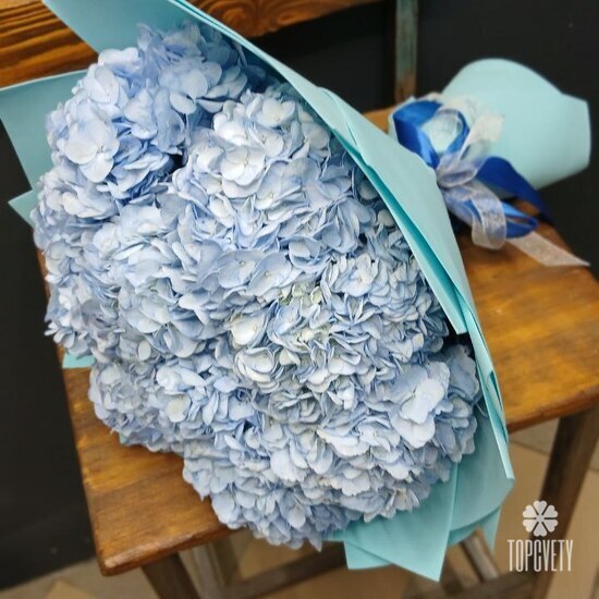 Букет из 9 голубых гортензий 