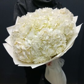 Букет из 9 белых гортензий