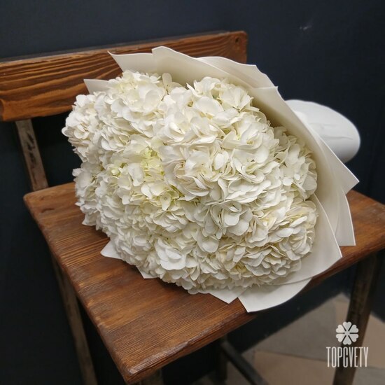 Букет из 9 белых гортензий